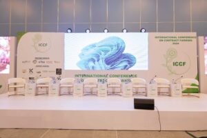 Stage of ICCF 2024
